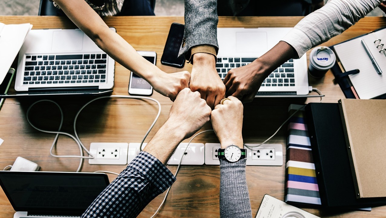 Startup Team